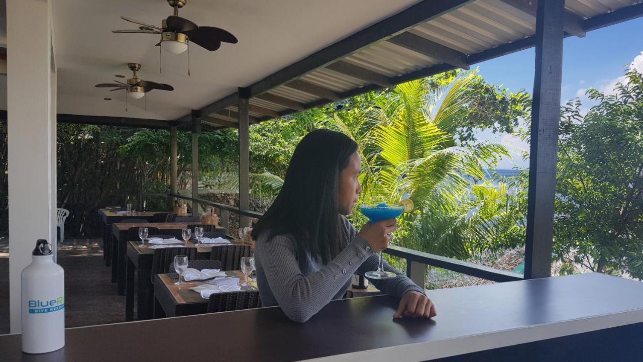 Blue Ribbon Dive Resort Mabini  Eksteriør bilde